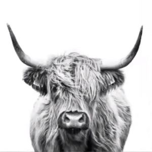 Meet your Posher, Sierra